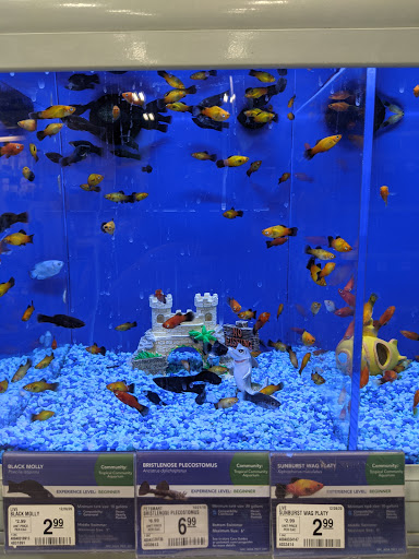 Pet Supply Store «PetSmart», reviews and photos, 2840 W Chandler Blvd, Chandler, AZ 85224, USA