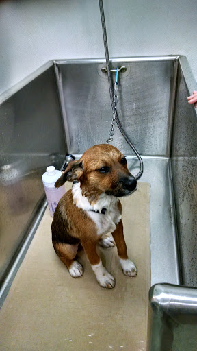 Pet Store «Essential Pet», reviews and photos, 17920 Cottonwood Dr, Parker, CO 80134, USA