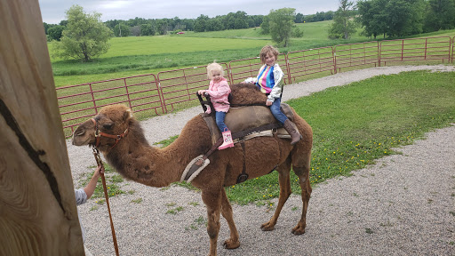 Zoo «Trowbridge Creek Zoo», reviews and photos, 50622 Co Rd 17, Vergas, MN 56587, USA