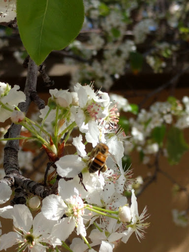 Park «Daley Park», reviews and photos, 1625 S College Ave, Tempe, AZ 85281, USA