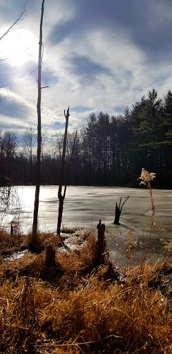 Nature Preserve «Sutherland Nature Sanctuary», reviews and photos, 3998 Diehl Rd, Metamora, MI 48455, USA