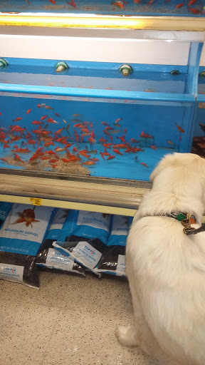 Pet Supply Store «PetSmart», reviews and photos, 4013 Wisconsin 28, Kohler, WI 53081, USA