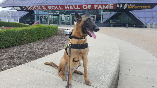 Museum «The Rock and Roll Hall of Fame and Museum», reviews and photos, 1100 E 9th St, Cleveland, OH 44114, USA