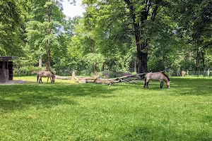 Tierpark Oberwald Karlsruhe image