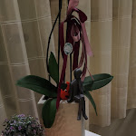 Photo n°1 de l'avis de Armando.o fait le 12/11/2023 à 18:51 sur le  Hotel Villa Mory à Montegrosso d'Asti