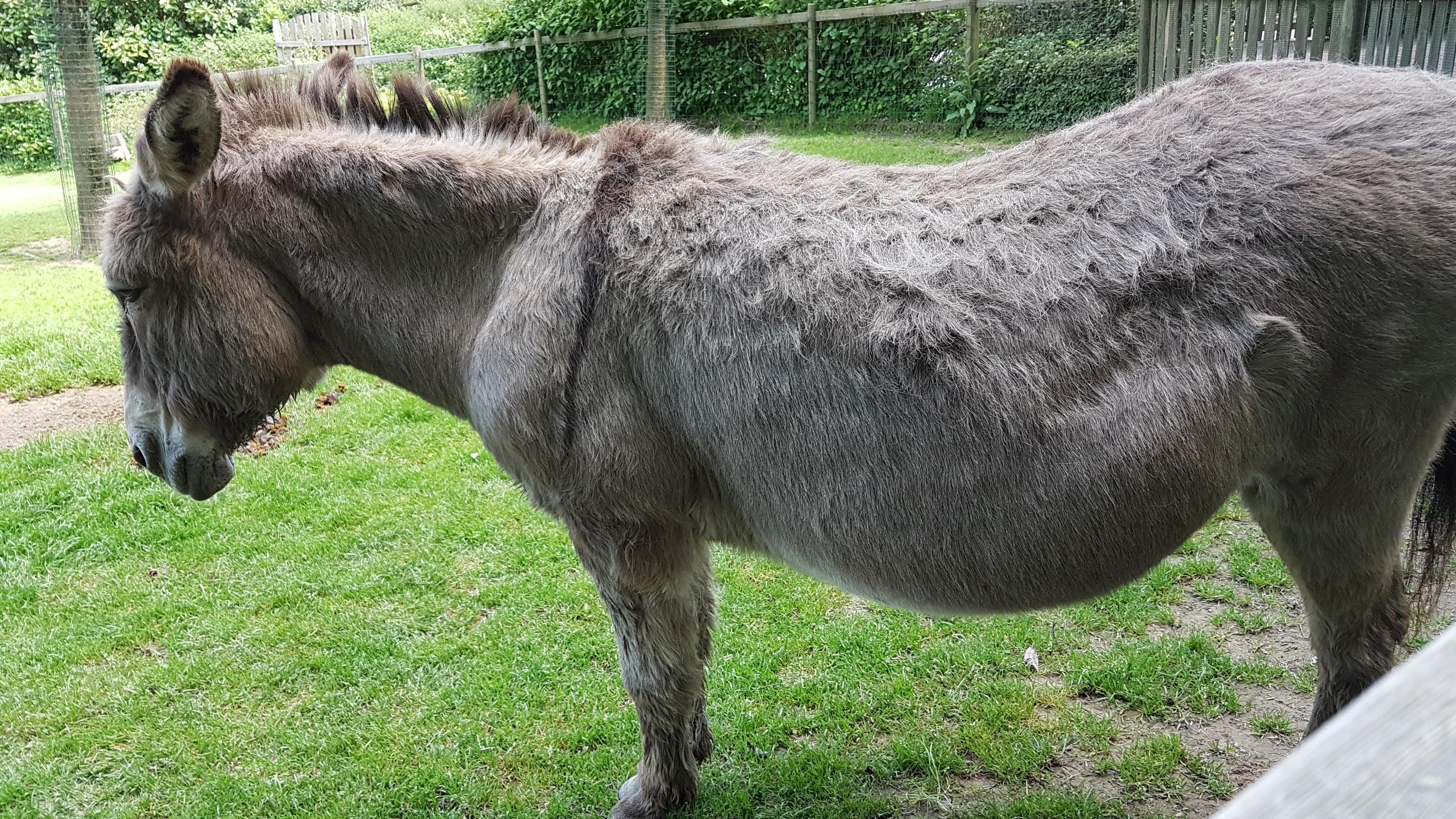 Photo n° 50 de l'avis de Dominique.A fait le 21/05/2019 à 20:35