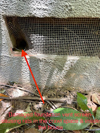 Thomas Wildlife Control - Photo 9 - Car repair in , Roseville