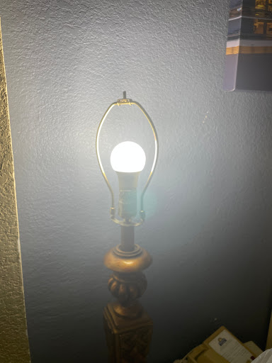 Hotel «Holiday Inn Express & Suites Tampa-Fairgrounds-Casino», reviews and photos, 8610 Elm Fair Blvd, Tampa, FL 33610, USA