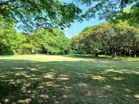 豊前市明神町緑地公園