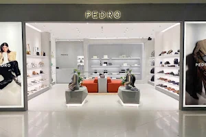 Pedro image