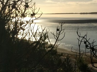 Photos of Myrthue