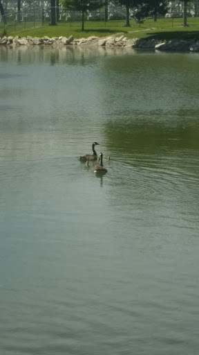 Amusement Park «Adventureland Park», reviews and photos, 3200 Adventureland Dr, Altoona, IA 50009, USA