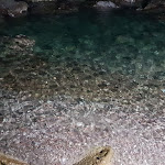 Photo n°1 de l'avis de antonio.i fait le 28/06/2019 à 21:02 sur le  Bar Ristorante Emanuela à Serrara Fontana