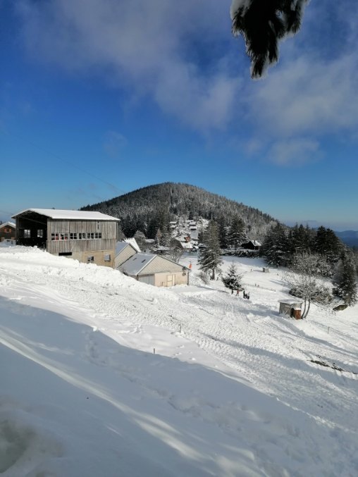 Photo n° 2 de l'avis de kowolik.a fait le 10/01/2021 à 21:49