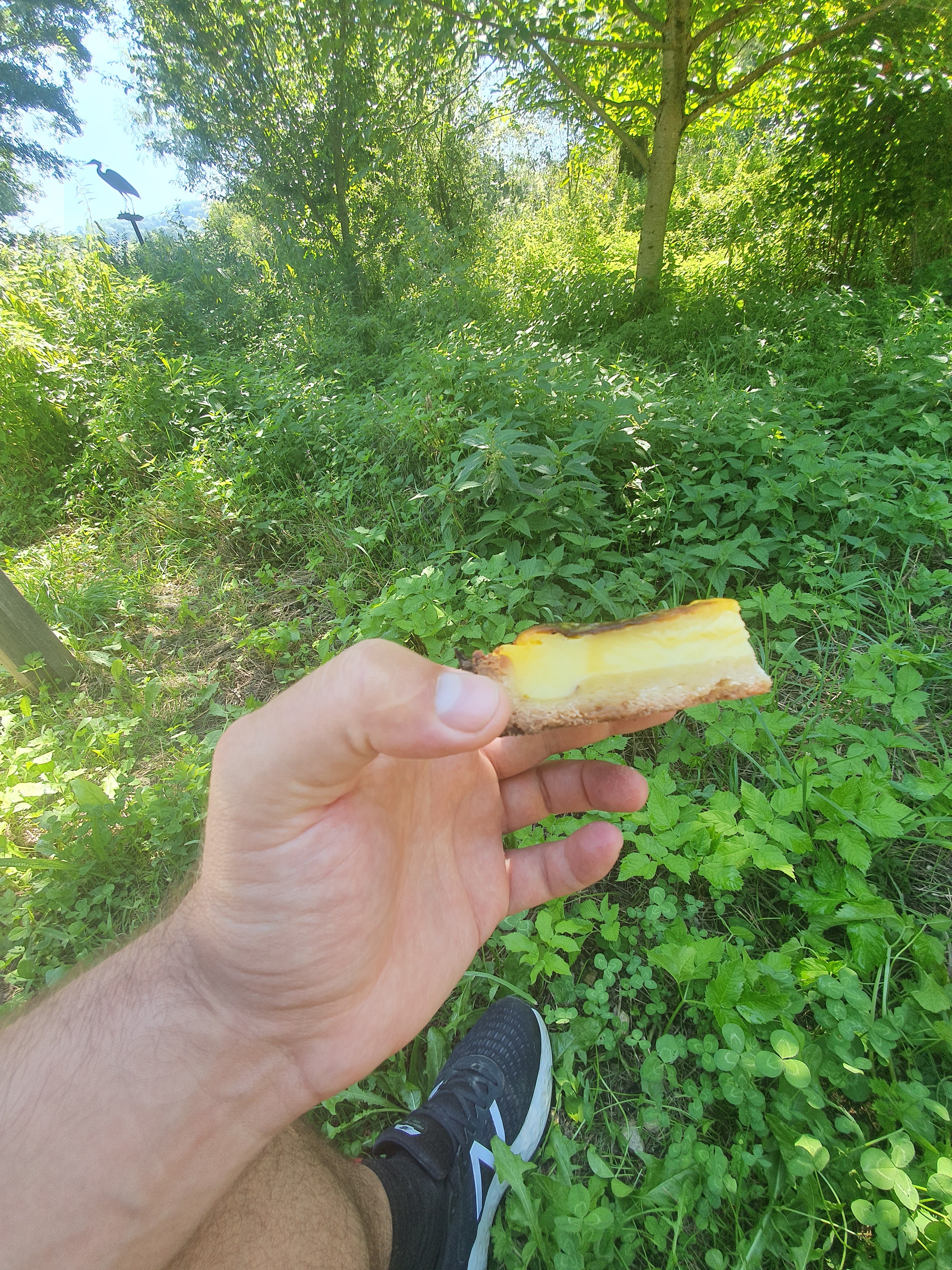 Photo n° 1 de l'avis de Adolphe.o fait le 25/08/2019 à 11:24