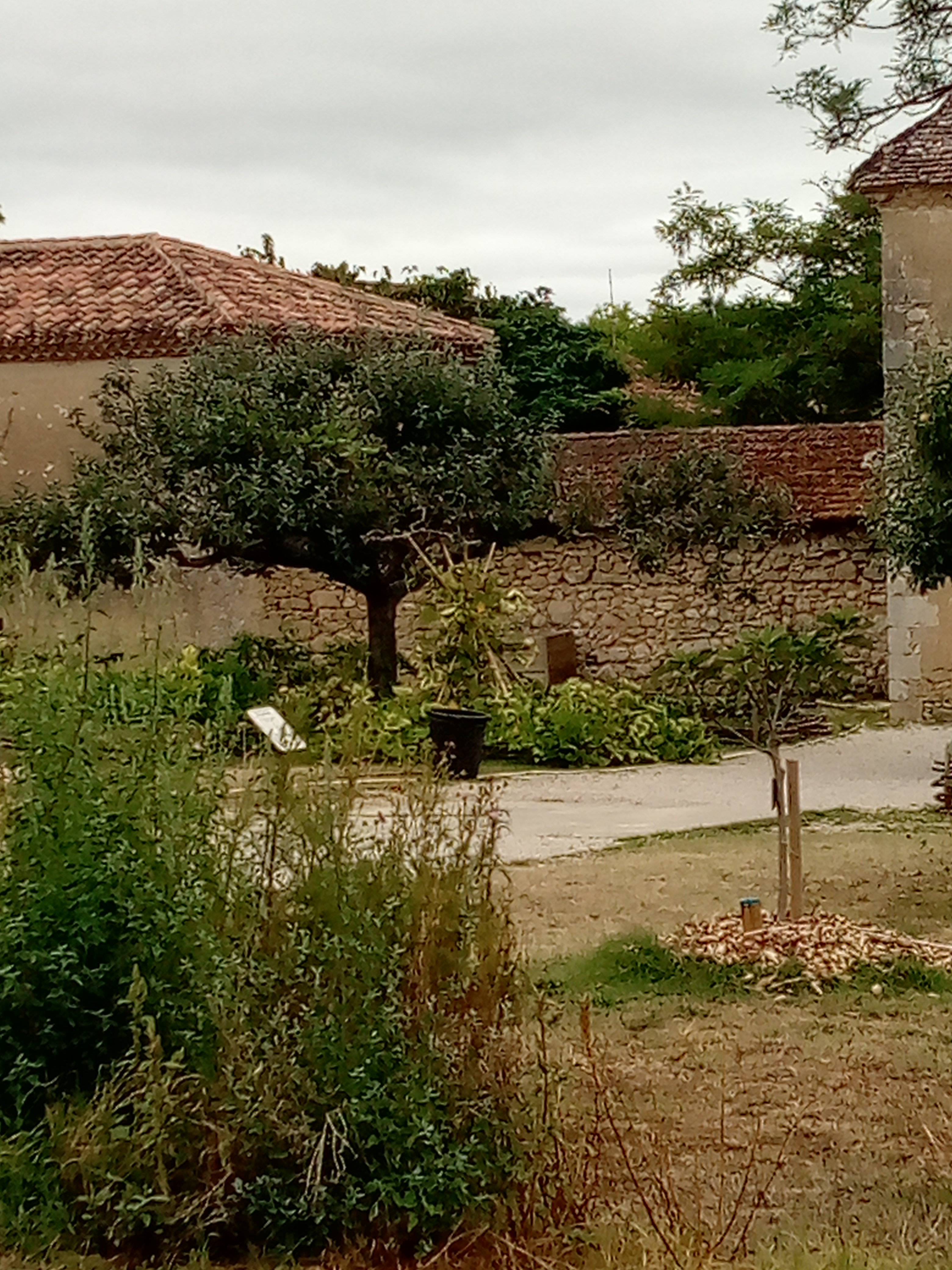 Photo n° 1 de l'avis de Christine.h fait le 23/08/2022 à 19:39