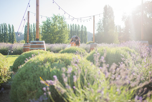 Event Venue «Woodinville Lavender», reviews and photos, 14223 Woodinville-Redmond Rd NE, Redmond, WA 98052, USA