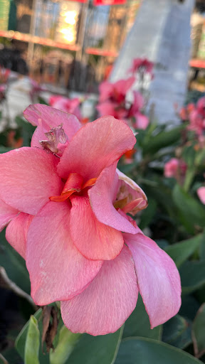 Home Improvement Store «The Home Depot», reviews and photos, 32525 Northwestern Hwy, Farmington Hills, MI 48334, USA