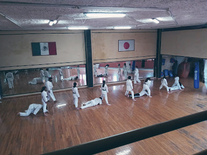 Karate Goyu Ryu Internacional - C. Juan de Baeza 29, Buena Vista 2da Etapa, 58228 Morelia, Mich., Mexico