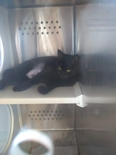 Pet Supply Store «Petsense Cleburne», reviews and photos, 1301 W Henderson St, Cleburne, TX 76033, USA