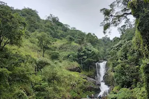 Iruppu Falls image