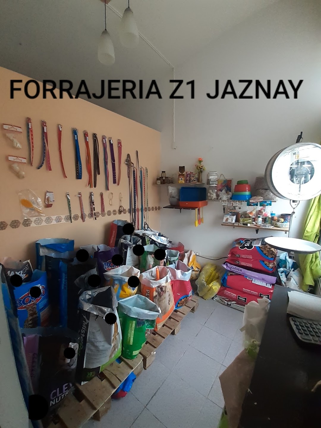 Forrajeria Z1