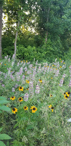 Park «Twin Creeks Park», reviews and photos, 803 Shallowater Dr, Allen, TX 75013, USA