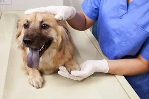 Animal Care Centre Veterinary Clinic image