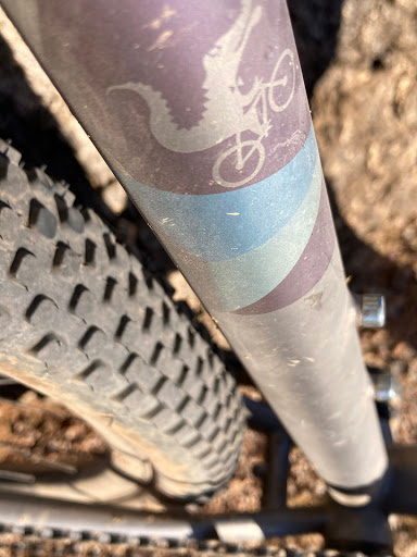 Bicycle Store «Bicycle Haus», reviews and photos, 7113 E 1st Ave, Scottsdale, AZ 85251, USA