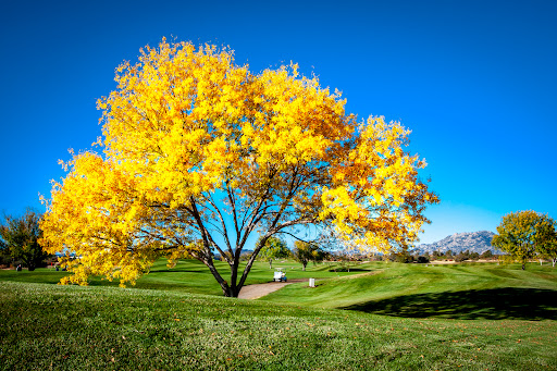 Golf Course «Antelope Hills Golf Courses», reviews and photos, 1 Perkins Dr, Prescott, AZ 86301, USA