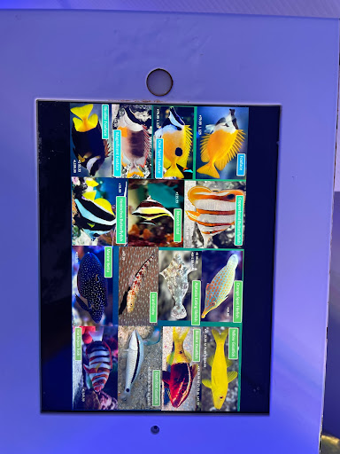 Pet Store «Sea King Aquariums», reviews and photos, 12005 NE 12th St #29, Bellevue, WA 98005, USA