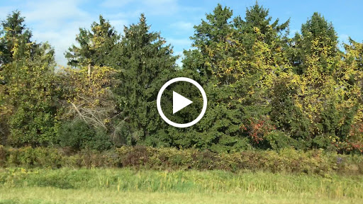 5888 Marshall Rd, Avon, NY 14414, USA