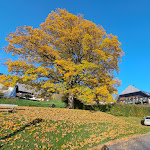 Photo n°3 de l'avis de Thomas.a fait le 09/10/2022 à 09:45 sur le  Gersbacher-Hof à Todtmoos
