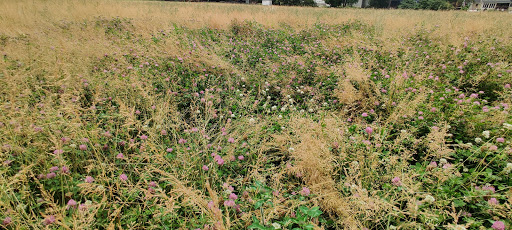 Battle Site «Paoli Battlefield Historical Park», reviews and photos, Monument Ave & Wayne Ave, Malvern, PA 19355, USA