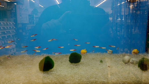 Pet Supply Store «Pet Supplies Plus», reviews and photos, 500 S St W, Raynham, MA 02767, USA