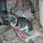 Photo n°2 de l'avis de Gaia.o fait le 20/01/2018 à 10:59 sur le  Mulino Delle Valli - Hotel à Casaleone