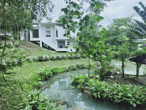 Cooling Horse House