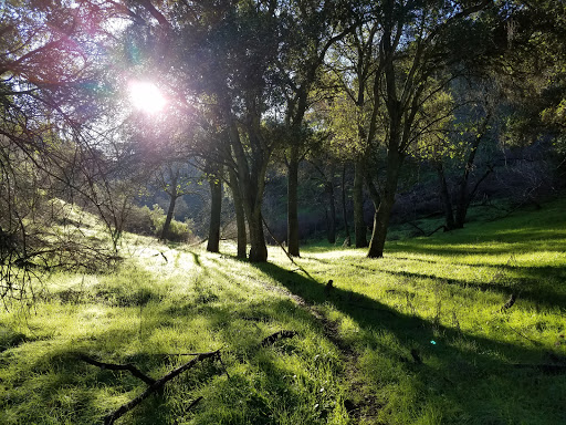 Heintz Open Space image