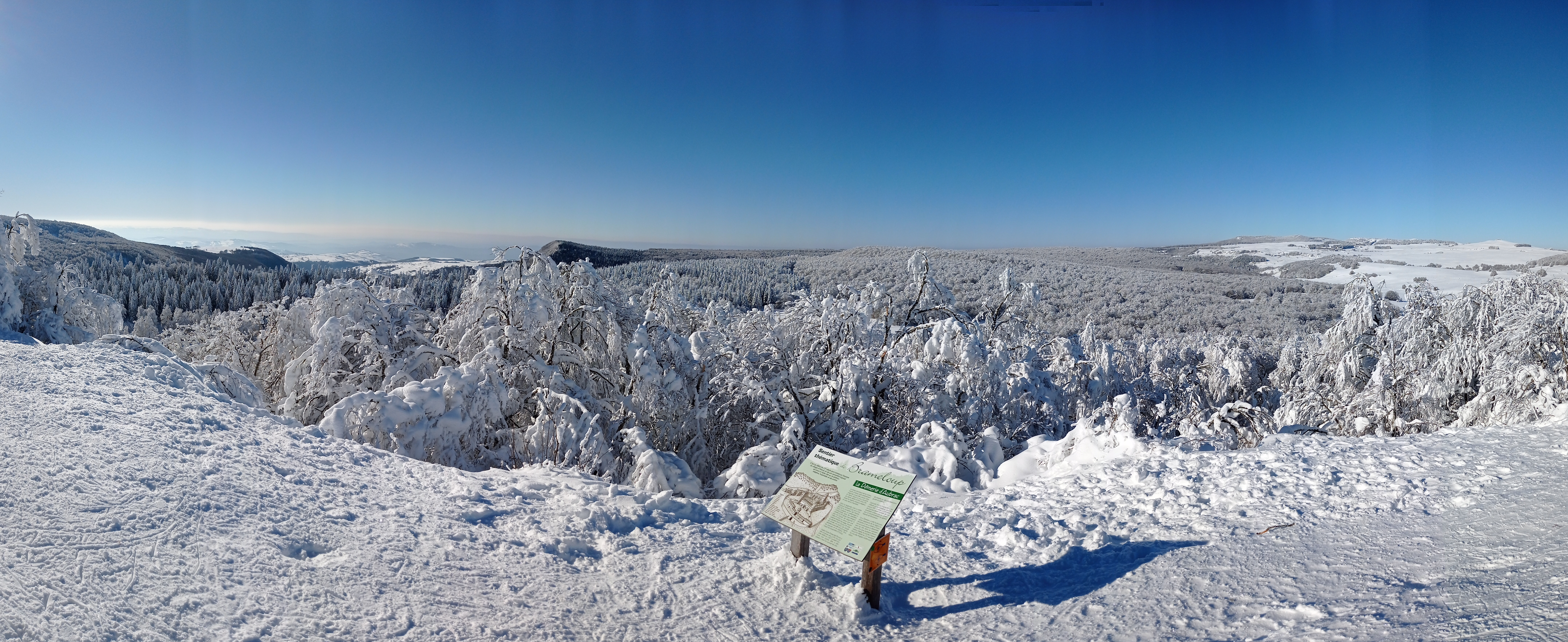 Photo n° 2 de l'avis de Luc.e fait le 14/01/2021 à 18:09