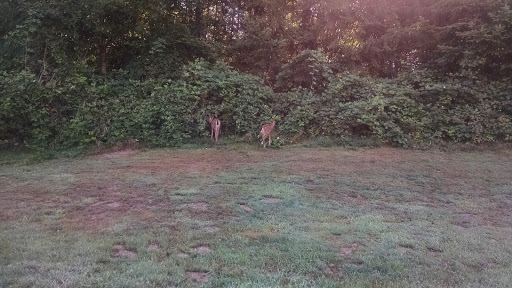 Golf Course «Snohomish Golf Course», reviews and photos, 7805 147th Ave SE, Snohomish, WA 98290, USA