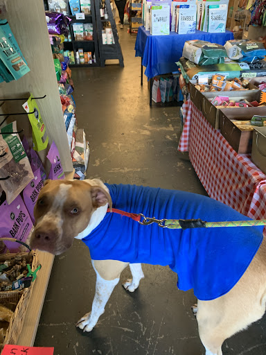 Pet Supply Store «Goin To the Dogs & Cats Pet», reviews and photos, 814 Wellman Ave NE, Huntsville, AL 35801, USA