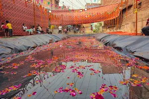 Chhat Puja Park (Bihari colony) image