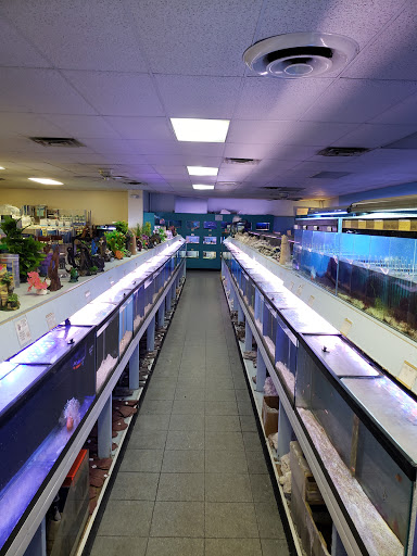 Tropical Fish Store «Monfort Aquarium & Pet», reviews and photos, 6520 Colerain Ave, Cincinnati, OH 45239, USA