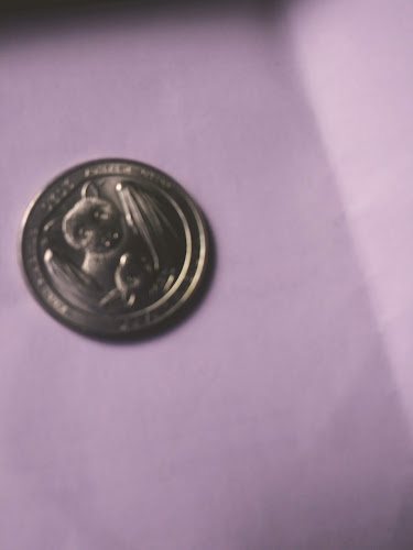 Gomera Y Centro De Alineamiento