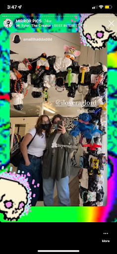 Raglord image