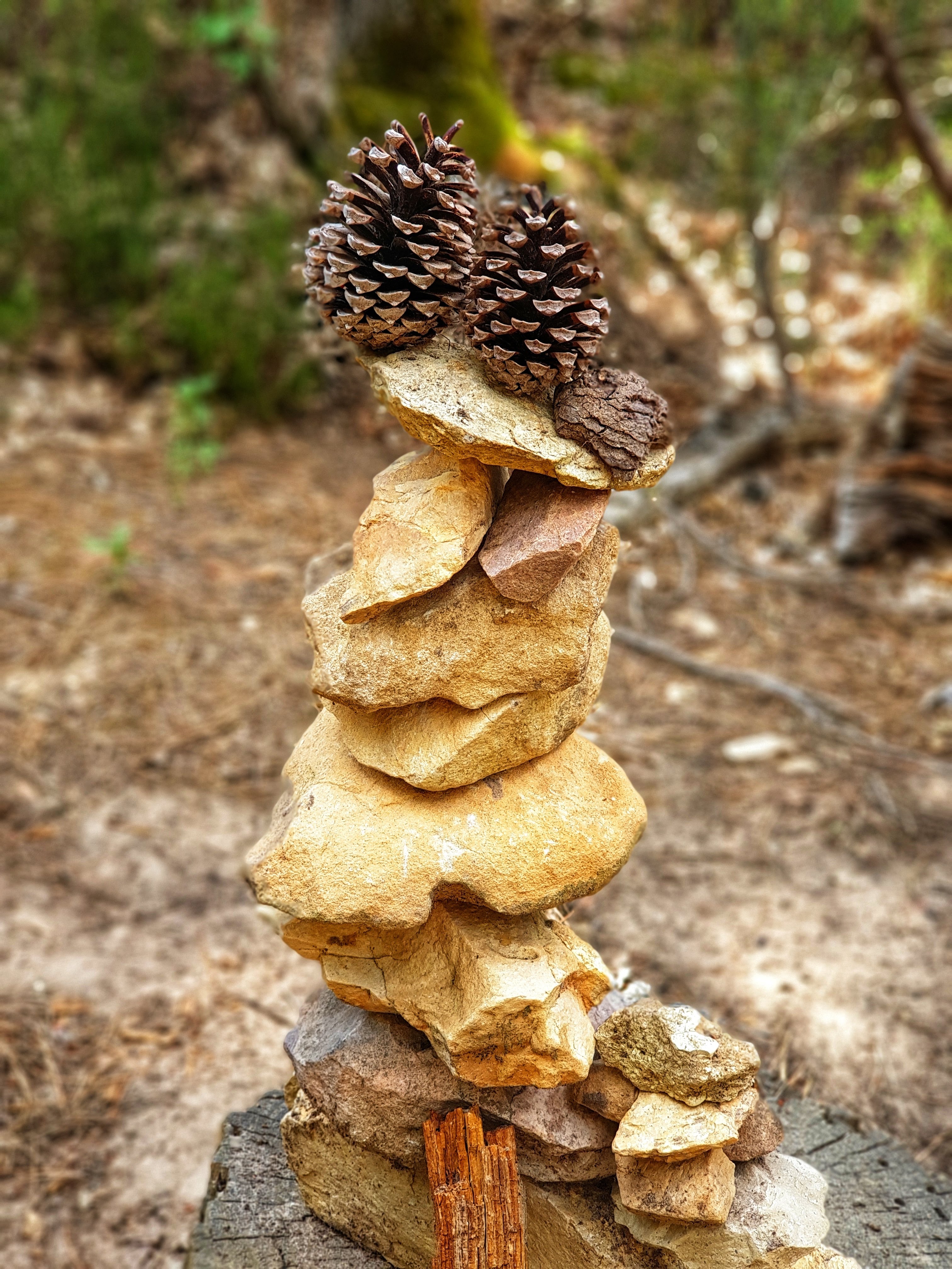 Photo n° 1 de l'avis de Chris.. fait le 23/06/2019 à 08:43
