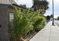 Plowboy Landscapes - Photo 5 - Car repair in Ventura, CA, Oxnard