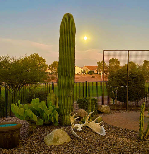 Home Builder «Sun City Anthem at Merrill Ranch by Del Webb», reviews and photos