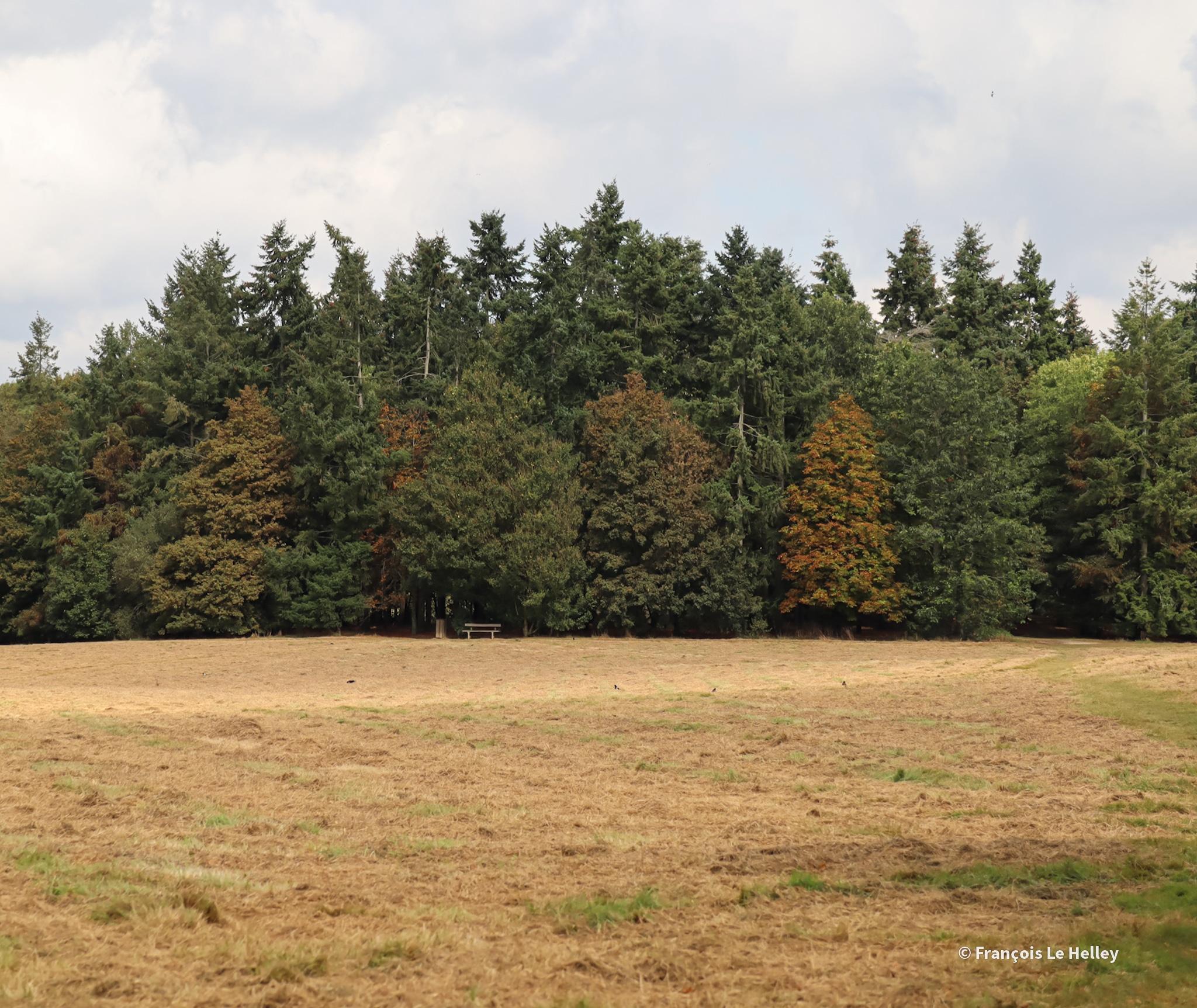 Photo n° 14 de l'avis de François.e fait le 20/09/2023 à 12:12