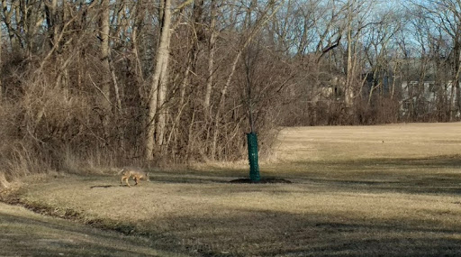 State Park «Brezina Woods», reviews and photos, N La Grange Rd, La Grange Park, IL 60526, USA